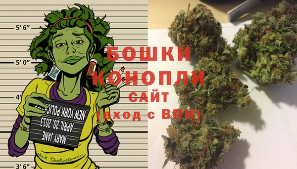 дурь Козельск