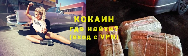 спайс Нея